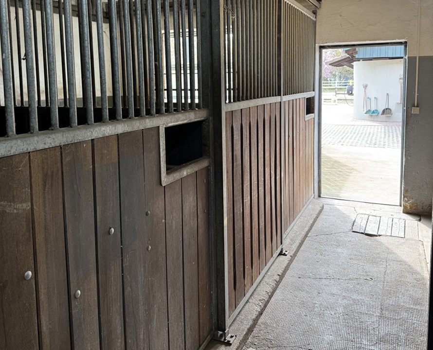 Stall mit Boxen