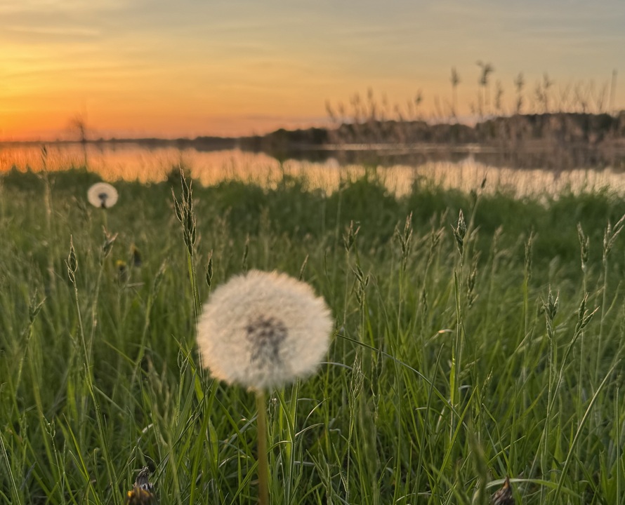 Sonnenuntergang am Gartower See